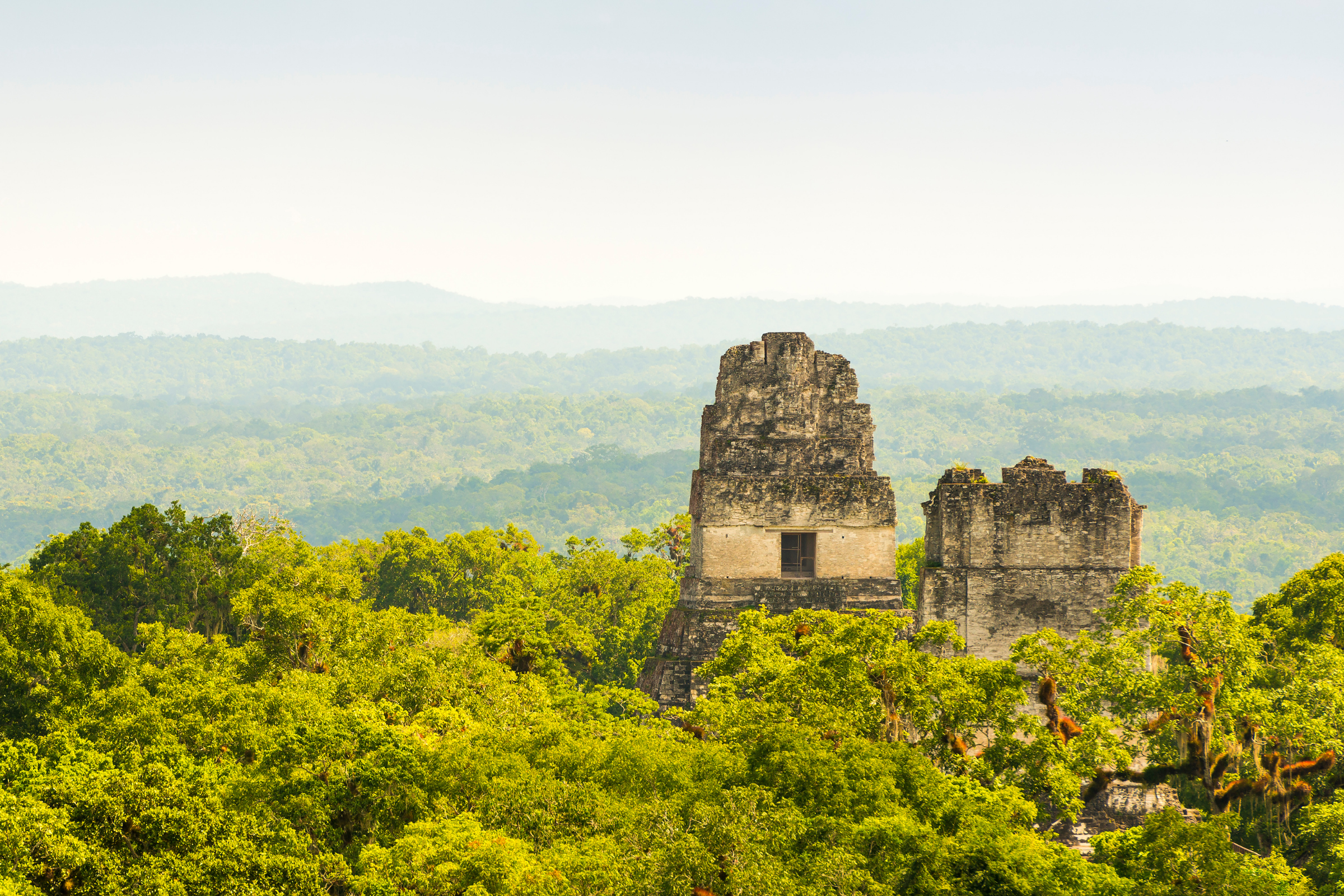 tikal (3).webp